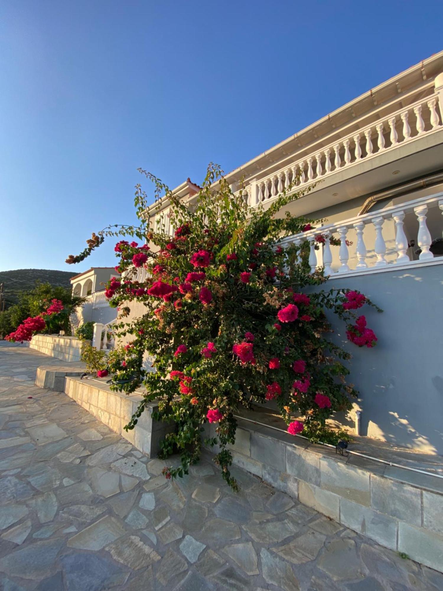 Villa Karras Питагорион Экстерьер фото